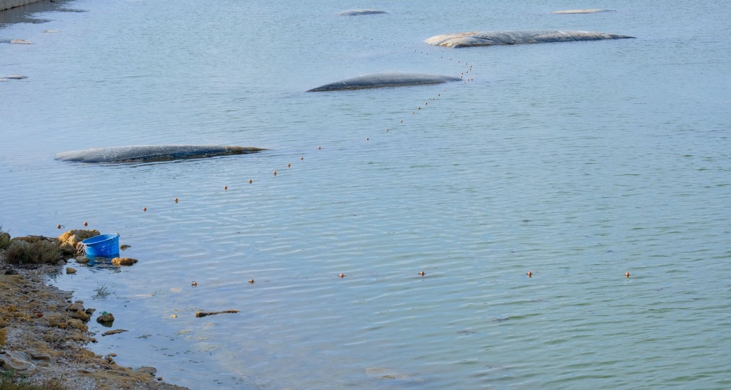 https://www.tp24.it/immagini_articoli/21-09-2026/1790003252-0-mazara-pesca-con-200-metri-di-rete-nella-colmata-b-del-porto.jpg