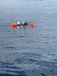 https://www.tp24.it/immagini_articoli/21-09-2026/da-trapani-a-favignana-a-nuoto-l-impresa-di-dado-chimeri-e-janet-bertolini-250.jpg