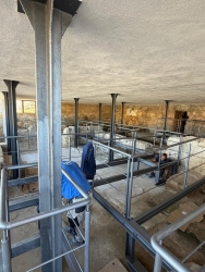 https://www.tp24.it/immagini_articoli/21-09-2026/mazara-riapre-la-domus-romana-di-san-nicolo-regale-visite-ai-mosaici-restaurati-250.jpg