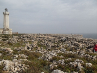 https://www.tp24.it/immagini_articoli/22-05-2026/a-more-extreme-mediterranean-emerges-from-sicily-the-giant-waves-of-125-000-years-ago-250.jpg