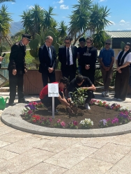 https://www.tp24.it/immagini_articoli/22-05-2026/la-talea-dell-albero-falcone-piantumata-alle-tenute-rapitala-250.jpg