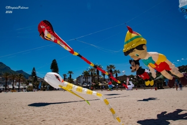 https://www.tp24.it/immagini_articoli/22-05-2026/san-vito-lo-capo-al-via-il-festival-degli-aquiloni-venerdi-il-volo-per-falcone-250.jpg