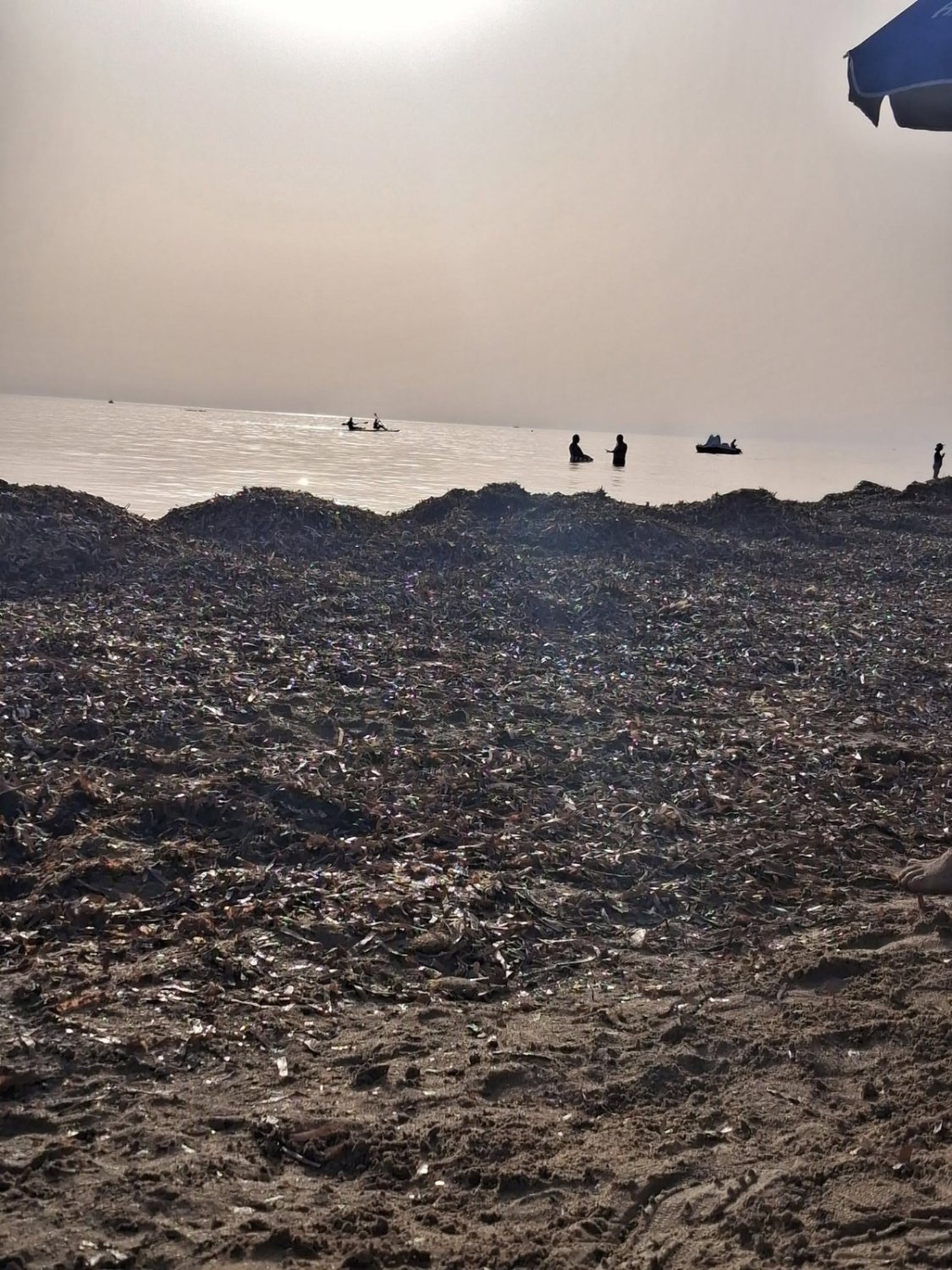 https://www.tp24.it/immagini_articoli/22-07-2026/1784727325-0-ecco-come-sono-le-spiagge-marsalesi-a-luglio-tutto-cio-e-inaccettabile.jpg