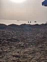 https://www.tp24.it/immagini_articoli/22-07-2026/ecco-come-sono-le-spiagge-marsalesi-a-luglio-tutto-cio-e-inaccettabile-250.jpg