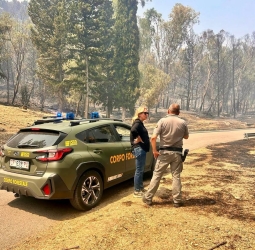 https://www.tp24.it/immagini_articoli/22-07-2026/sicilia-nella-morsa-degli-incendi-fiamme-a-santo-stefano-quisquina-evacuate-centinaia-di-persone-250.jpg