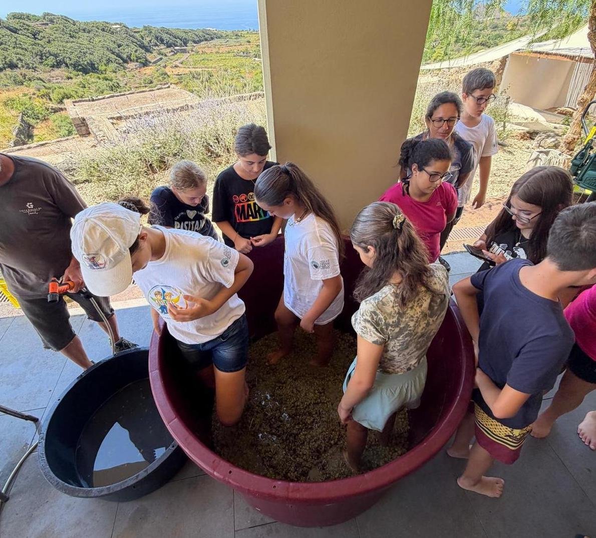 https://www.tp24.it/immagini_articoli/22-08-2026/1787409798-0-pesta-l-uva-una-nuova-avventura-per-i-piccoli-ranger-del-parco-di-pantelleria.jpg