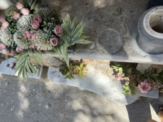 https://www.tp24.it/immagini_articoli/22-08-2026/cimitero-di-marsala-degrado-e-mancanza-di-rispetto-sulle-tombe-dei-nostri-cari-250.jpg