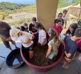 https://www.tp24.it/immagini_articoli/22-08-2026/pesta-l-uva-una-nuova-avventura-per-i-piccoli-ranger-del-parco-di-pantelleria-250.jpg
