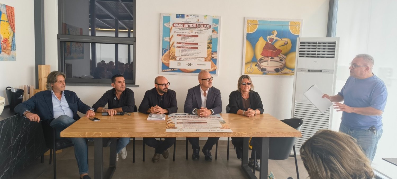 https://www.tp24.it/immagini_articoli/22-09-2026/1790065878-0-grani-antichi-siciliani-nasce-la-rete-per-ottenere-l-igp-filiera-tutta-nell-isola.jpg