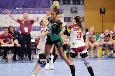 https://www.tp24.it/immagini_articoli/23-05-2026/il-giorno-piu-lungo-dell-handball-erice-le-arpie-vedono-lo-scudetto-250.jpg
