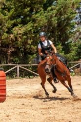 https://www.tp24.it/immagini_articoli/23-06-2026/a-buseto-palizzolo-la-prima-segesta-horse-cup-finali-regionali-e-trekking-250.jpg