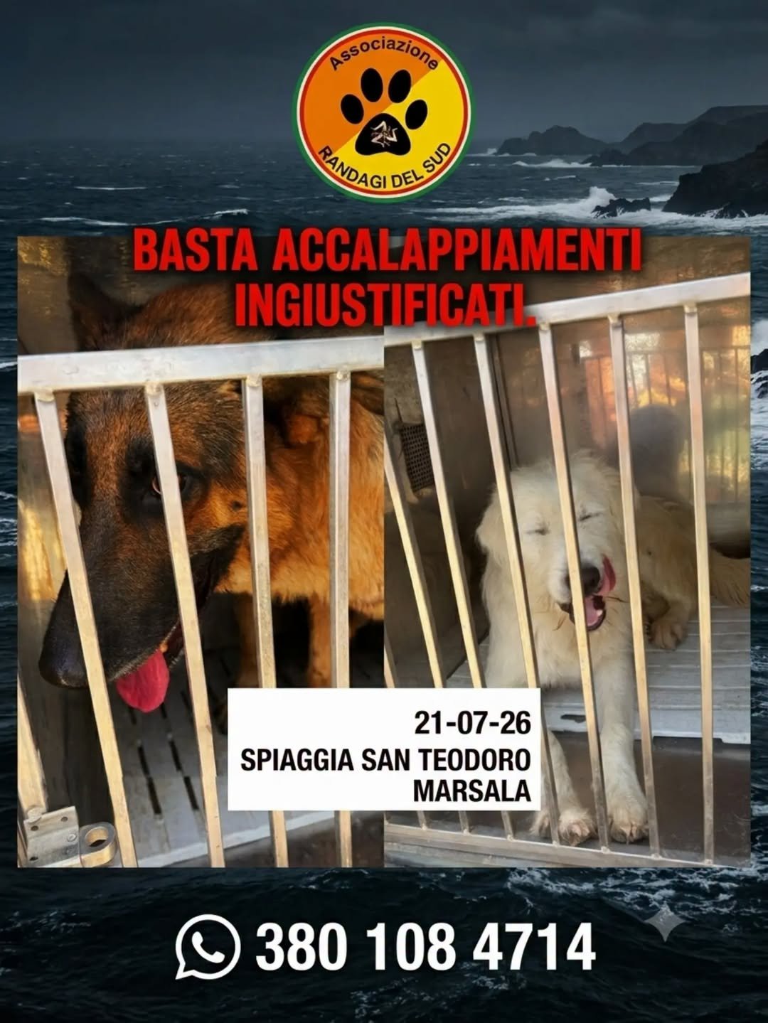 https://www.tp24.it/immagini_articoli/24-07-2026/1784864812-0-marsala-e-le-multe-a-raffica-dalle-auto-ai-cani-l-obiettivo-e-fare-cassa.jpg