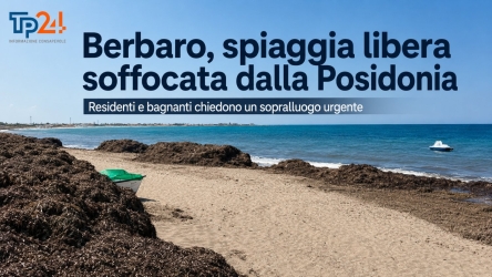 https://www.tp24.it/immagini_articoli/24-07-2026/marsala-posidonia-e-rifiuti-sulla-spiaggia-di-berbaro-la-protesta-250.jpg