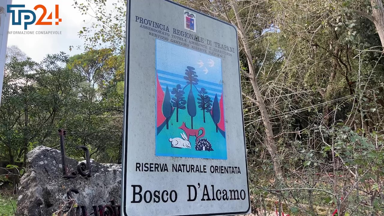 https://www.tp24.it/immagini_articoli/24-11-2025/1763941716-0-bosco-d-alcamo-il-caso-funtanazza-un-anno-dopo.jpg
