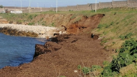 https://www.tp24.it/immagini_articoli/25-06-2026/la-denuncia-dei-cittadini-sulla-sp20-trapani-bonagia-buche-tombini-e-asfalto-tagliato-250.jpg