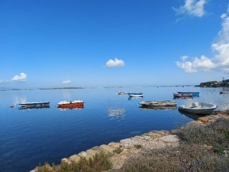 https://www.tp24.it/immagini_articoli/25-06-2026/marsala-un-patrimonio-da-proteggere-tra-potenzialita-immense-e-gestione-insufficiente-250.jpg