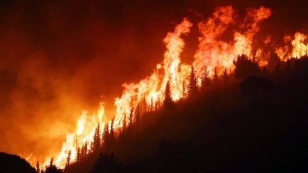 https://www.tp24.it/immagini_articoli/25-07-2026/incendi-in-sicilia-m5s-e-pd-all-attacco-commissione-d-inchiesta-e-schifani-subito-all-ars-250.jpg
