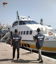 https://www.tp24.it/immagini_articoli/25-07-2026/trecento-chili-di-alimenti-sequestrati-e-40mila-euro-di-multe-dei-nas-a-lampedusa-e-pantelleria-250.jpg