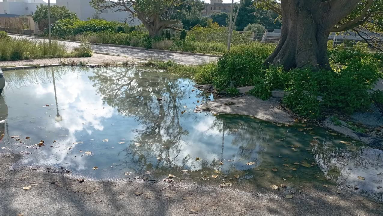 https://www.tp24.it/immagini_articoli/26-02-2025/1740565748-0-marsala-fognature-a-cielo-aperto-ad-amabilina-da-due-mesi-non-possiamo-respirare.jpg