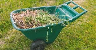 https://www.tp24.it/immagini_articoli/26-06-2026/1782467307-0-erice-sfalci-e-potature-solo-su-prenotazione-serve-una-giornata-fissa-di-raccolta.jpg