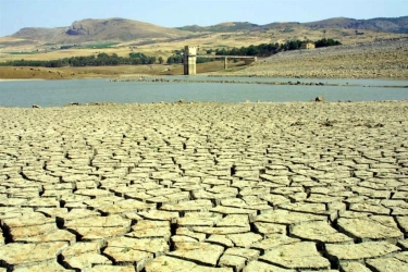 https://www.tp24.it/immagini_articoli/26-06-2026/crisi-idrica-dalla-regione-5-milioni-alle-aziende-agricole-250.jpg
