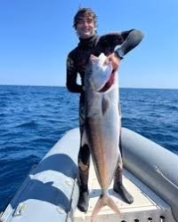 https://www.tp24.it/immagini_articoli/26-06-2026/malore-ai-campionati-di-apnea-a-mazara-grave-valerio-losito-250.jpg