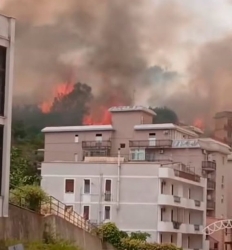 https://www.tp24.it/immagini_articoli/26-07-2026/incendi-nel-palermitano-in-corso-evacuazioni-a-torretta-250.jpg