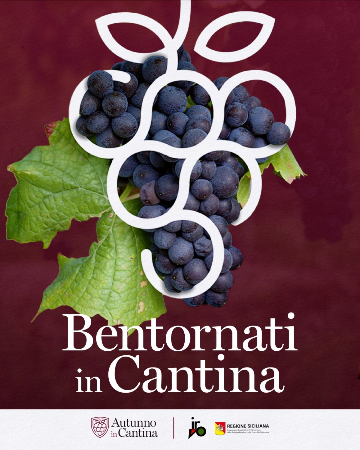 La Sicilia del vino cambia stagione: torna "Autunno in cantina"