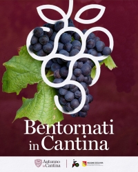 https://www.tp24.it/immagini_articoli/26-09-2026/la-sicilia-del-vino-cambia-stagione-torna-autunno-in-cantina-250.jpg