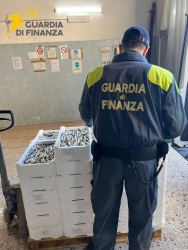 https://www.tp24.it/immagini_articoli/27-02-2026/sequestrati-540-chili-di-prodotti-ittici-senza-tracciabilita-denunciate-due-imprese-250.jpg