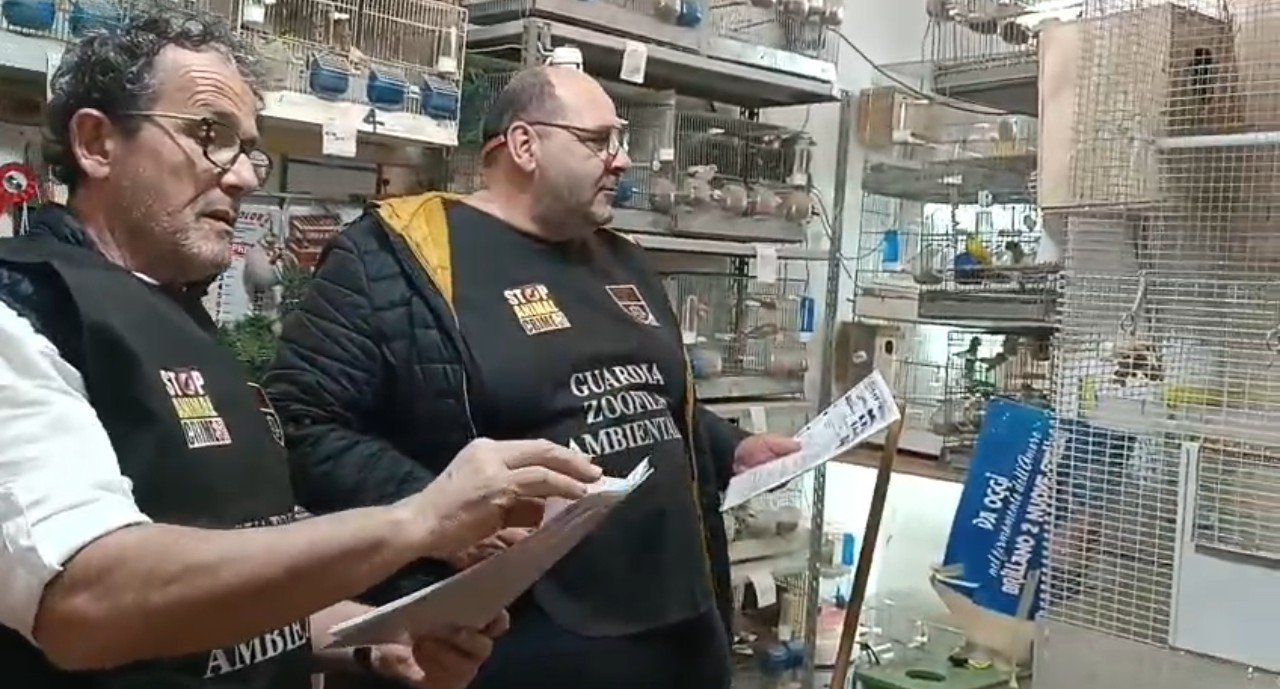https://www.tp24.it/immagini_articoli/27-04-2026/1777294419-0-trapani-allevamento-di-uccelli-in-garage-controllo-delle-guardie-zoofile-scatta-una-segnalazione-al-sindaco.jpg