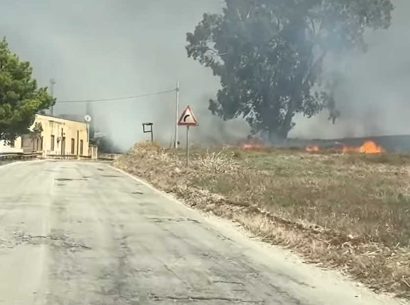 https://www.tp24.it/immagini_articoli/27-08-2025/1756295113-0-soffia-lo-scirocco-diversi-incendi-lungo-la-strada-per-san-vito-lo-capo-il-video.png