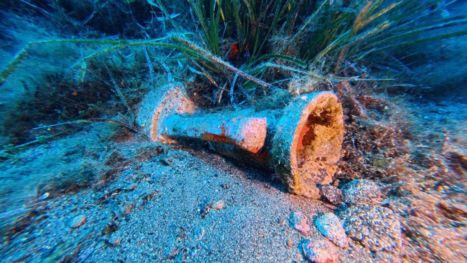 https://www.tp24.it/immagini_articoli/27-08-2026/1787844387-0-pantelleria-il-parco-sostiene-la-quarta-rassegna-del-mare.jpg