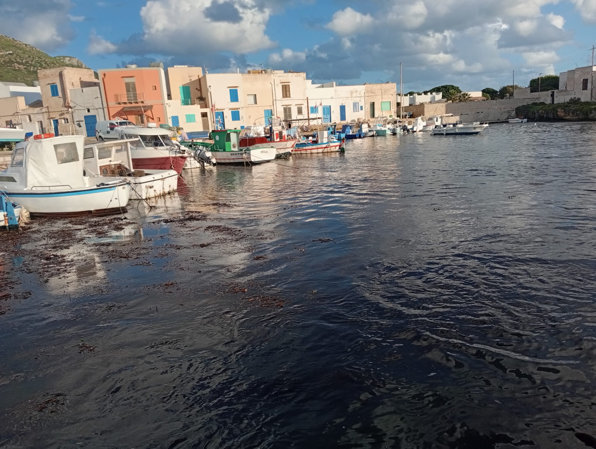 https://www.tp24.it/immagini_articoli/27-11-2025/1764260789-0-favignana-la-posidonia-blocca-il-porto-di-punta-lunga-non-possiamo-andare-a-pescare.jpg