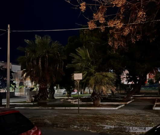 https://www.tp24.it/immagini_articoli/27-12-2025/1766860745-0-marsala-vandali-contro-l-illuminazione-ma-altre-zone-sono-al-buio-da-piu-di-un-mese.png
