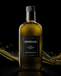 https://www.tp24.it/immagini_articoli/28-04-2026/la-valle-del-belice-arriva-alla-1000-miglia-l-olio-monolium-e-official-supplier-2026-250.jpg