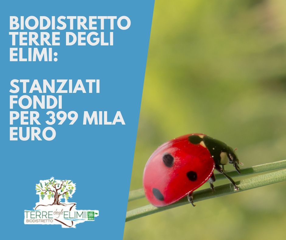 https://www.tp24.it/immagini_articoli/28-05-2025/1748441768-0-agricoltura-sostenibile-finanziato-un-progetto-del-biodistretto-terre-degli-elimi.jpg