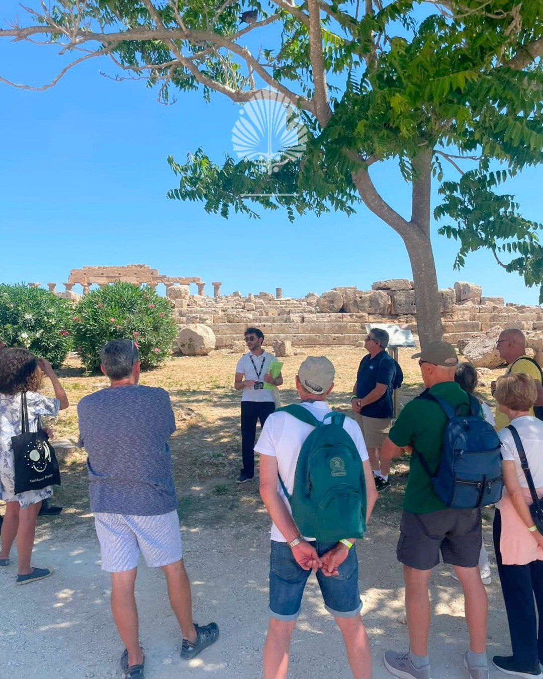 https://www.tp24.it/immagini_articoli/28-05-2026/1779965861-0-selinunte-un-lungo-weekend-tra-templi-e-acropoli-visite-guidate-dal-30-maggio-al-2-giugno.jpg