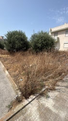 https://www.tp24.it/immagini_articoli/28-07-2026/marsala-erbacce-invadono-via-oberdan-e-via-saffi-250.jpg