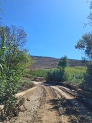 https://www.tp24.it/immagini_articoli/28-09-2026/emergenza-senza-fine-per-la-sp-29-salemi-trapani-lanciato-l-ennesimo-appello-per-il-suo-rifacimento-250.jpg