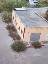 https://www.tp24.it/immagini_articoli/28-09-2026/marsala-l-acquedotto-di-contrada-pastorella-tra-degrado-strerpaglie-topi-e-zanzare-250.jpg