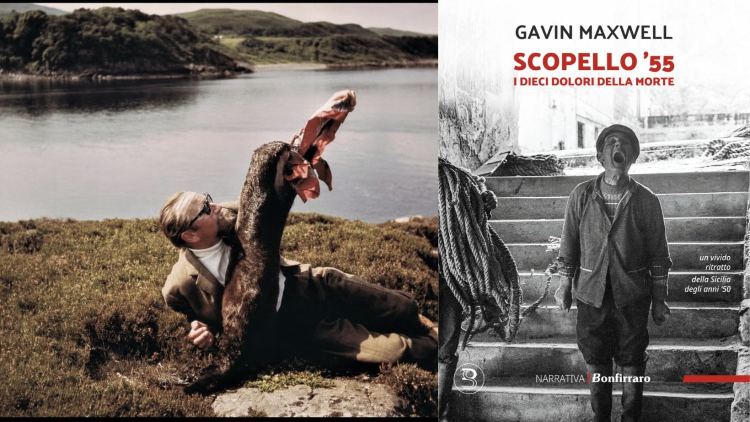 https://www.tp24.it/immagini_articoli/29-05-2026/1780050414-0-scopello-55-arriva-in-italia-il-libro-dimenticato-di-gavin-maxwell-la-sicilia-raccontata-senza-sconti.jpg