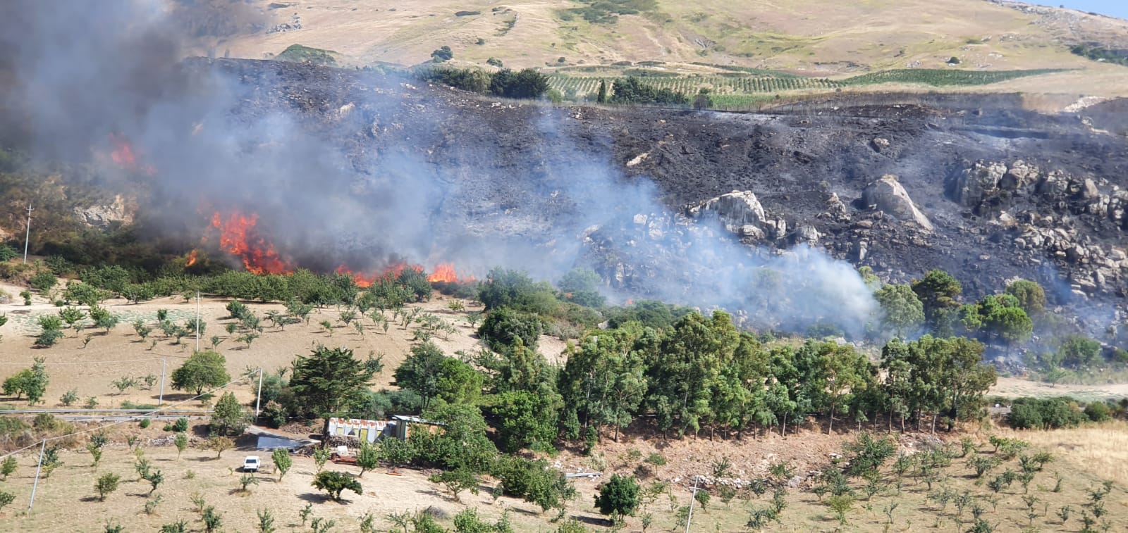 https://www.tp24.it/immagini_articoli/29-06-2025/1751177524-0-giornata-di-fuoco-in-sicilia-15-roghi-hanno-impegnato-forestali-vigili-del-fuoco-e-protezione-civile.jpg