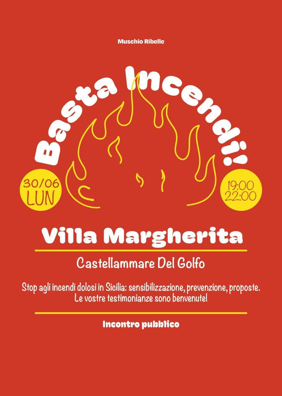 https://www.tp24.it/immagini_articoli/29-06-2025/1751191310-0-lunedi-a-castellammare-l-assemblea-cittadina-basta-incendi.jpg