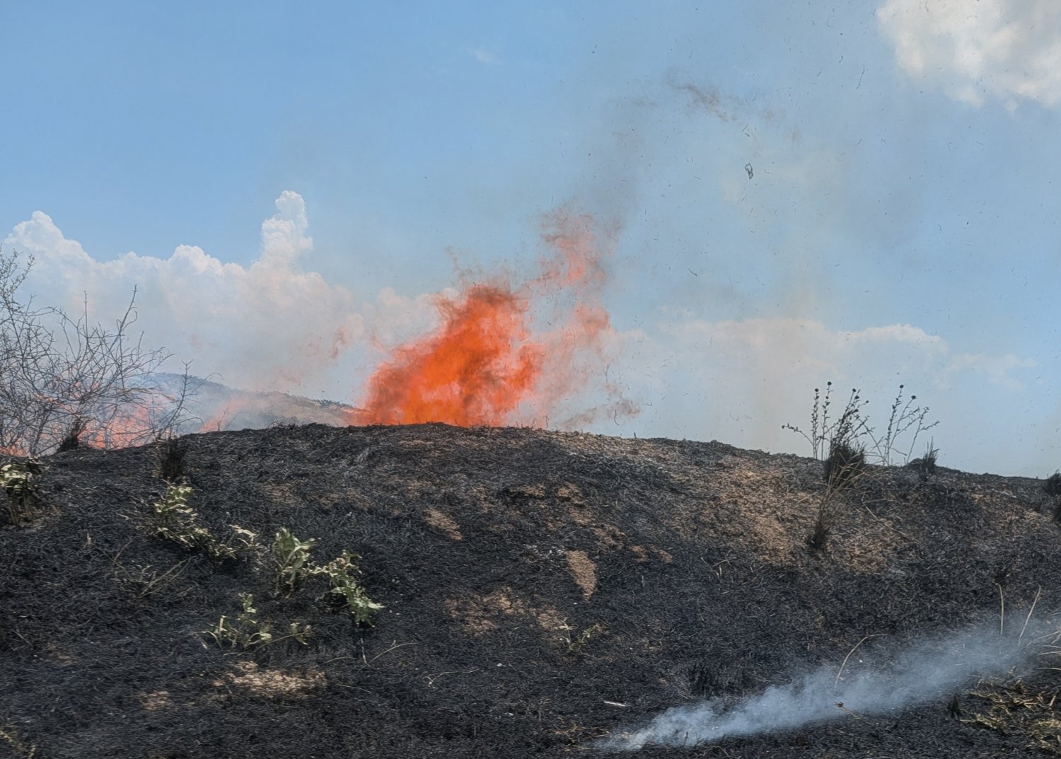 https://www.tp24.it/immagini_articoli/29-06-2026/1782733459-0-caldo-record-e-vento-la-provincia-di-trapani-brucia-sette-incendi-tra-marsala-e-salemi.jpg