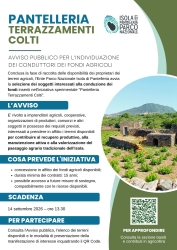 https://www.tp24.it/immagini_articoli/29-06-2026/pantelleria-il-parco-cerca-nuovi-coltivatori-per-rilanciare-i-terrazzamenti-250.jpg