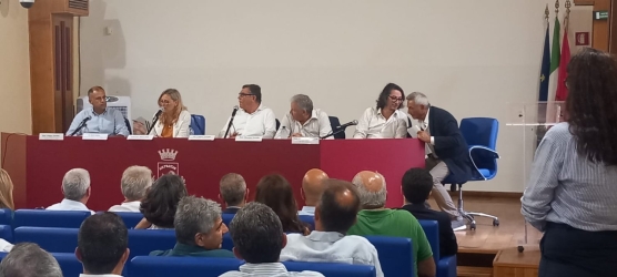 https://www.tp24.it/immagini_articoli/29-07-2026/a-marsala-il-tavolo-tecnico-della-filiera-del-vetro-250.jpg