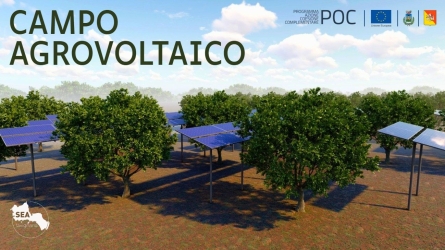 https://www.tp24.it/immagini_articoli/29-07-2026/la-sea-costruisce-un-impianto-agrovoltaico-a-favignana-250.jpg
