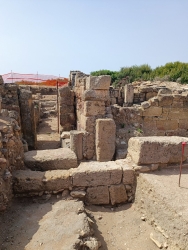 https://www.tp24.it/immagini_articoli/29-07-2026/selinunte-visita-straordinaria-e-gratuita-al-battistero-paleocristiano-250.jpg
