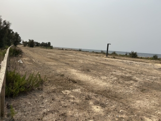 https://www.tp24.it/immagini_articoli/29-08-2026/marsala-dalla-scerbatura-alla-passeggiata-sul-mare-la-proposta-di-liberi-per-la-colmata-250.jpg